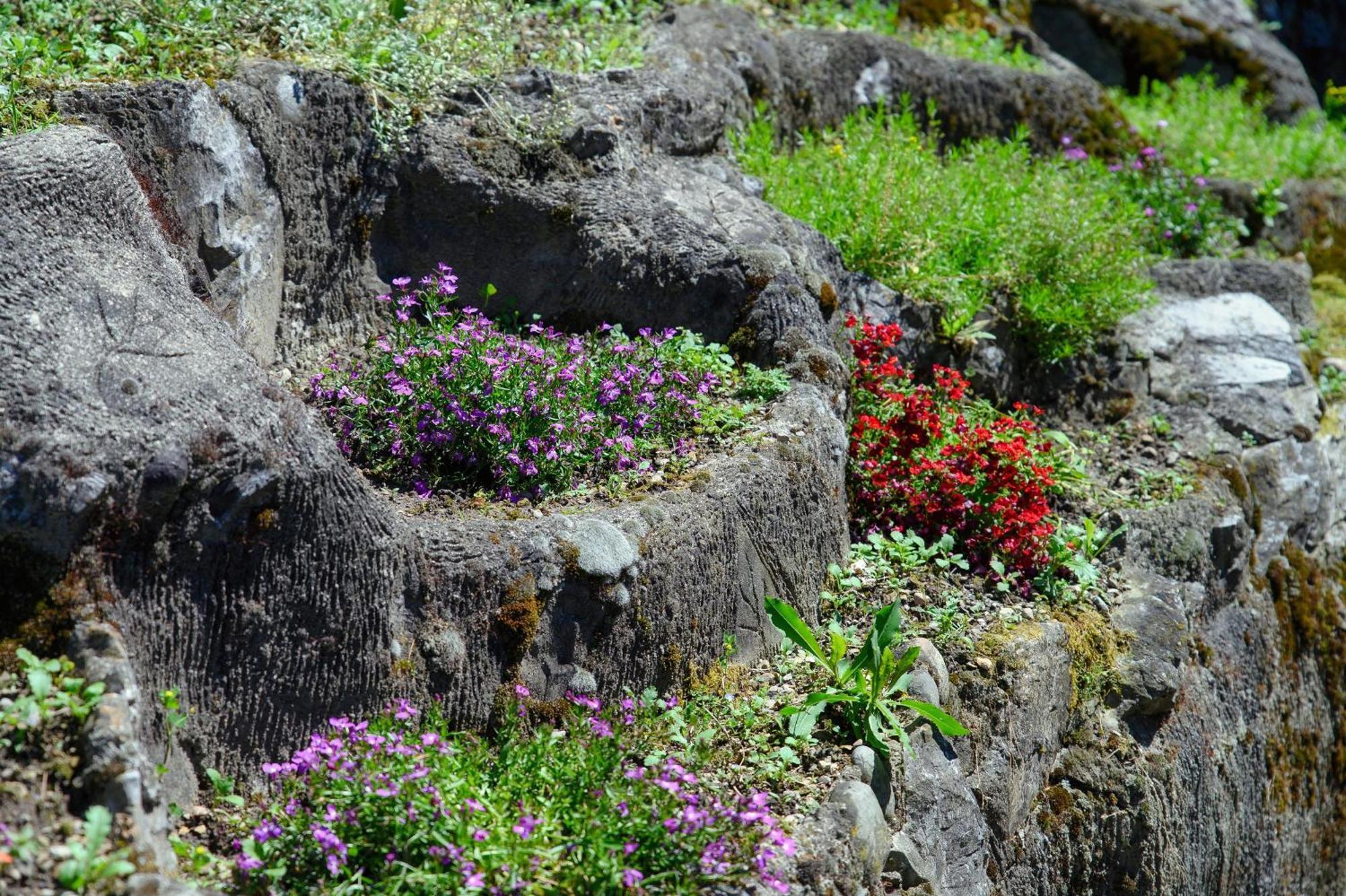 Wisteriaroom Como Luaran gambar