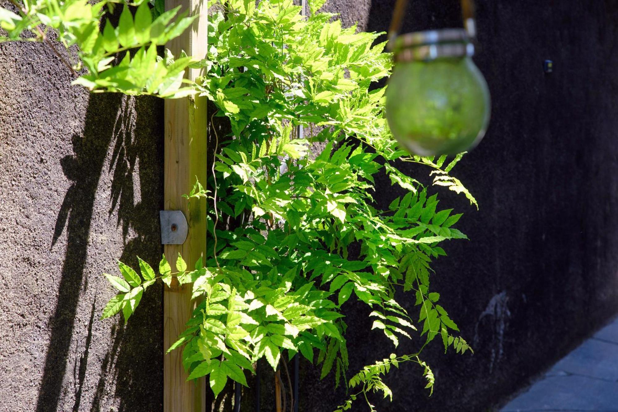 Wisteriaroom Como Luaran gambar